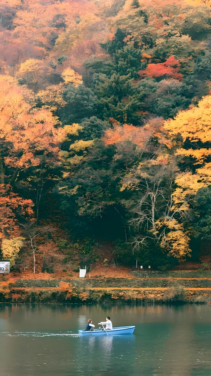 APP界面展示